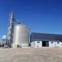 Silo di stoccaggio per grani in acciaio zincato a caldo | 500T-10000T personalizzabile Silo in acciaio ondulato imbullonato per riso di frumento di mais