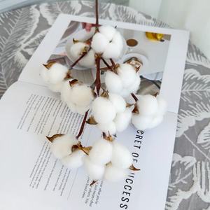 <span class=keywords><strong>Tiges</strong></span> de fleurs séchées artificielles en <span class=keywords><strong>coton</strong></span> en gros pour la décoration du salon, décorations florales de Noël pour la maison - Product Image 2