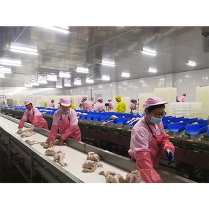 新しいハラール鶏食肉処理装置ターンキー家禽食肉処理場ライン300 ~ 1時間あたり1000羽 - Product Image 3