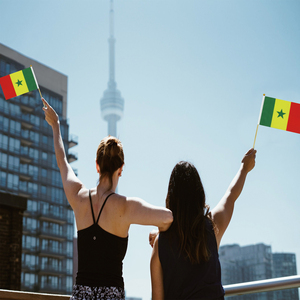 Drapeau du Sénégal en bois, agitable à la main, pour les fêtes générales - Nouveauté 2024, Vente Flash Usine - Product Image 4