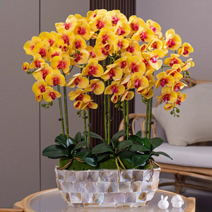 Vente en gros <span class=keywords><strong>de</strong></span> décoration d'intérieur, <span class=keywords><strong>orchidée</strong></span> papillon <span class=keywords><strong>artificielle</strong></span> en pot, fleur <span class=keywords><strong>artificielle</strong></span> au toucher réel, pot d'<span class=keywords><strong>orchidée</strong></span> Phalaenopsis - Product Image 6