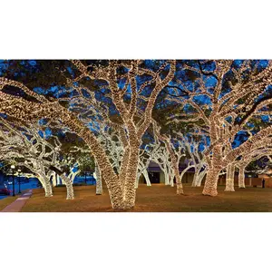 Holiday Party Rice Light Decorative Outdoor Waterproof Christmas Rice Light Led Decorative