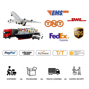 Top1 Thâm Quyến Đại Lý Vận Chuyển Cung Cấp LCL + Express Dịch Vụ Để Toàn Cầu Giá Cả Cạnh Tranh 25-30 Ngày Thời Gian Vận Chuyển - Product Image 6