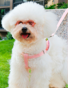 Cute Puppy <strong>Harness</strong> Vest Comfortable Dog <strong>Cat</strong> <strong>Harness</strong> Leash Pet <strong>Harness</strong> Set - Product Image 6