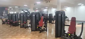 Nieuw Type Fitness Gym Apparatuur Sterkte Machine Buik Crunch Machine Abs Workout Machine 2 In 1 Voor Rug En Buik