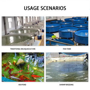 Dispositivo de Oxigênio RAS 3L 5L 10L Gerador de Oxigênio PSA Concentrador de Oxigênio para Aquicultura - Product Image 4