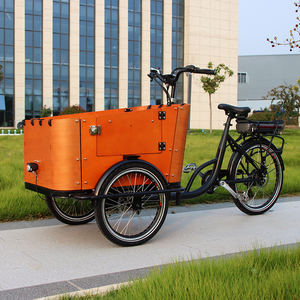 Vélo cargo familial à trois roues électrique à <span class=keywords><strong>assistance</strong></span> au pédalage, vente chaude, vélo cargo hollandais, boîte de chargement avant, <span class=keywords><strong>tricycle</strong></span> <span class=keywords><strong>adulte</strong></span> - Product Image 1