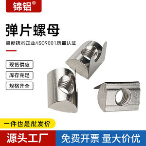Écrou à ressort en profilé d'aluminium M5 M6 M8, écrou de retenue à tête plate métrique moulé sous pression pour connecteurs d'assemblage - Product Image 2