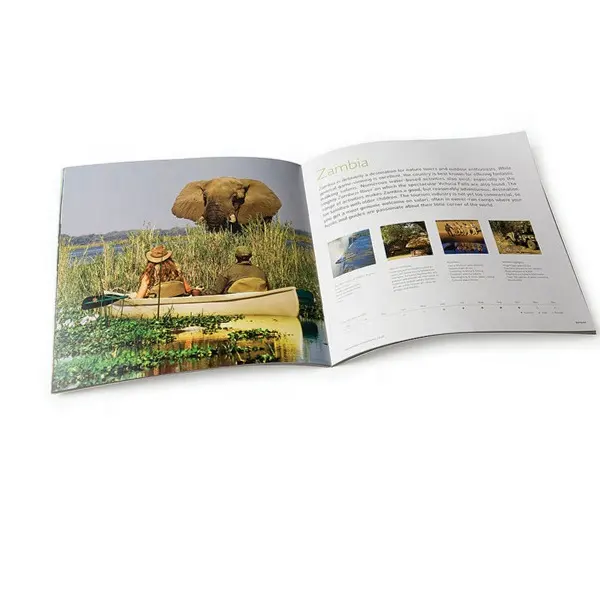 Brochure/Boekje/Folder/Pocket Boek Afdrukken