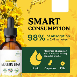 <span class=keywords><strong>Gotas</strong></span> <span class=keywords><strong>de</strong></span> Clorofila, Desodorante Natural Interno, Fabricante OEM, Desintoxicante Corporal, Fortalecedor <span class=keywords><strong>de</strong></span> la <span class=keywords><strong>Sangre</strong></span>, Salud <span class=keywords><strong>de</strong></span> la Piel, Potenciador <span class=keywords><strong>de</strong></span> Energía Líquido - Product Image 3