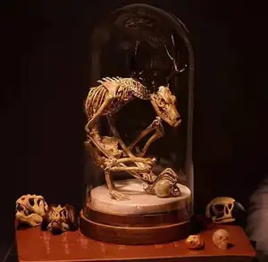 Estatua de dinosaurio con esqueleto de esqueleto, ornamento de resina artesanal, decoración de escritorio, ornamento de exhibición de fósil
