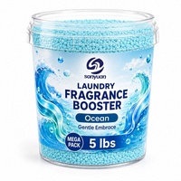 Échantillon Gratuit Nouveau Perles de parfum pour lessive 5lb Cinq parfums Adoucit les vêtements Anti-statique REACH CE OEM ODM Fournisseur d'usine
