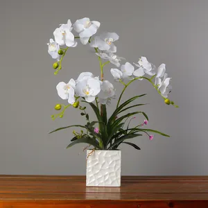 Bonsai de tecido artificial orquídea, 60cm, plantas de orquídea com suculento no pote para decoração interna