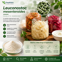 Poudre de Leuconostoc Mesenteroides Lyophilisée de Qualité Alimentaire, Culture de Démarrage à Multiples UFC, Matière Première