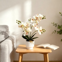 Plante artificielle Phalaenopsis en pot, orchidée au toucher silicone, fleur verte, bonsaï écologique, longue durée de vie, pour salon et bureau