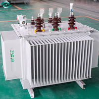 Transformateur rempli d'huile 800kva Dyn11/Yyn0 du fabricant professionnel pour centrales électriques trois entrées 10kv/220v 380v 110v 440v