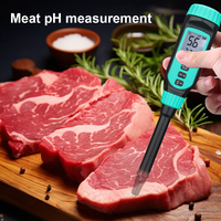 Testeur de pH professionnel 4 en 1 pour sol, testeur de pH pénétrant pour pâte, viande, pain, fruits semi-solides, sauces, acidimètre, testeur de qualité de l'eau