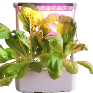 Vertical self watering pots smart mini indoor garden grow kits growing light system flower pods for vegetables in-house systems