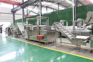 Machine <span class=keywords><strong>de</strong></span> friture automatisée pour cacahuètes enrobées, friteuse pour haricots verts, machine à torréfier les noix aromatisées, machine à aromatiser les graines <span class=keywords><strong>de</strong></span> <span class=keywords><strong>tournesol</strong></span> - Product Image 5