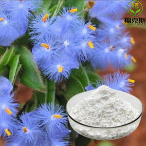 <span class=keywords><strong>Beta</strong></span> ecdysterone Bột bổ sung giá tốt nhất 98% 99% số lượng lớn ecdysterone - Product Image 2