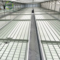 Usine fournissant l'alliage d'aluminium utilisé banc roulant de système de seau de reflux et de flux de serre pour la plantation de fleurs végétales