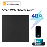 Interrupteur mural intelligent WiFi HomeKit pour chauffe-eau et chaudière, 40A, commande vocale Siri, compatible avec l'application Apple HomeKit (UE/Royaume-Uni)