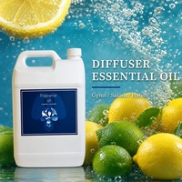 Huile parfumée citron et lime pour diffuseur, hôtel, SPA, parfum frais d'agrumes, huile essentielle aromatique, vente en gros