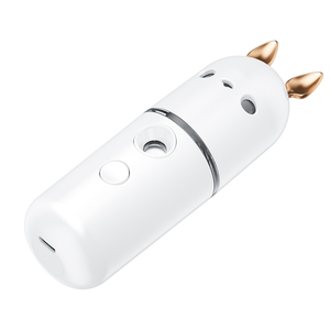 Портативный USB-испаритель для лица - Product Image 4