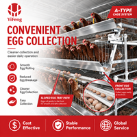 Nouvelle Cage à Poulets Automatique Économique en Acier pour l'Élevage Moderne, avec Système d'Alimentation et d'Abreuvement Automatiques, Type A
