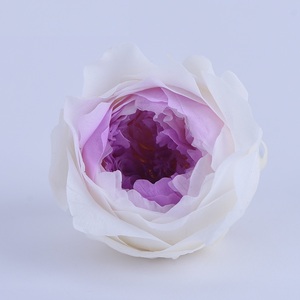 2025 Venta caliente 3-4cm Grado-a Rosas preservadas Cabeza Inmortal Rosas eternas Real Forever Roses Preservada Eternelle Rosas - Product Image 6