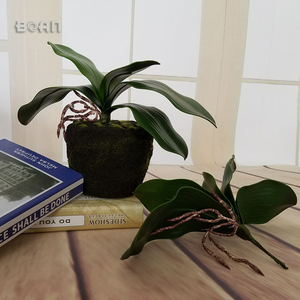 Trang Trí Đám Cưới In 3D Lụa Nhân Tạo Hoa Thật Cảm Ứng Bướm Bướm Lá Phong Lan - Product Image 6