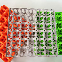 Zhongyin - Caja de Plástico para Huevos de 30 Piezas, Amarilla, Azul, Gris, Roja, Bandeja para Huevos de Gallina, Transportable, Modelo Personalizable, Origen Hebei