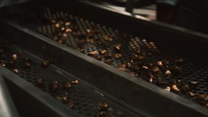 Ligne de décorticage de noix de cajou, type 1, tête de coupe à 10 lames (une seule qualité), capacité 350-400 kg/h, entièrement automatique - Product Image 2