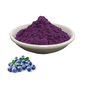 Blueberry Fruit Extract Spray Dried Dry Extract Powder Manufacturer Specializing In Natural Berry Extract Production For Bulk - Product Image 1