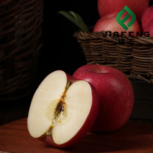 Apel Fuji Berkualitas Tinggi, Apel Cina yang Segar dan Lezat - Product Image 2