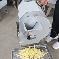 Multifunctionele Groentechopper En Snijder Groentefruitchips Snijmachine Roestvrijstalen Groentehakselaar
