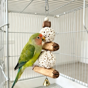 WAFAHOME Juguete para loros: Bola <span class=keywords><strong>de</strong></span> lana ecológica y bonita para masticar, con decoración <span class=keywords><strong>de</strong></span> fruta <span class=keywords><strong>de</strong></span> <span class=keywords><strong>carambola</strong></span>, para aliviar el aburrimiento y prevenir mordeduras. - Product Image 5