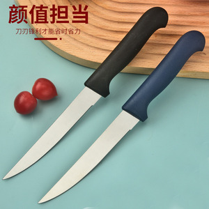Stainless Steel Fruit Knife Household Peeler Rust Resistant Portable Outdoor Kitchen Steak Knife For Picnic Use - Product Image 1
