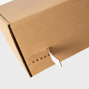 19 Years Factory Free Sample Zipper Peel Tear Off Strip Custom Corrugated Mailer Packing Shipping Box