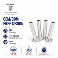 Rivets semi-tubulaires à tête plate personnalisés pour glissières de tiroirs-caisses, prototype d'ingénierie, en laiton nickelé TianFang, service OEM ODM