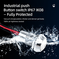 Interruptor de Botón Metálico Impermeable IP67, con Bloqueo Momentáneo, 12V 24V 220V, Iluminación LED, Montaje en Panel de 19mm, CE