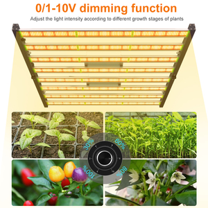 Đèn LED Trồng Cây Samsung Công Nghệ Hoàn Toàn Mới 800W Đèn Y Tế Thương Mại Đèn Trồng Cây Cho Phòng Trồng Cây Trong Nhà - Product Image 6