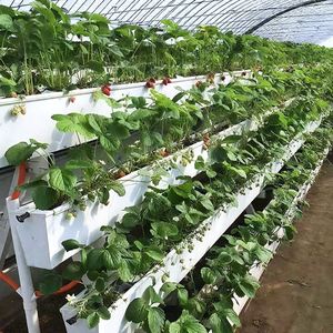 Grand système hydroponique vertical NFT en PP de qualité alimentaire, canal en plastique double couche pour laitue, herbes et légumes, avec 90 % d'économie d'eau - Product Image 4