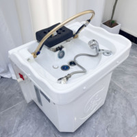 Équipement de Spa Capillaire Portable avec Lavabo de Tête de Spa, Ensemble Multifonctionnel avec Baignoire à Shampooing Fumigable et Circulante pour Hydrothérapie