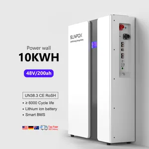 10kwh Wall-mounted Powerwall Battery Lifepo4 Solar Storage Home 48V 51.2V 100ah 200ah Lithium Ion RS485 Communication 10-year