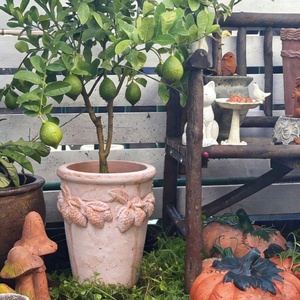 Pot de <span class=keywords><strong>fleurs</strong></span> en céramique rustique fait main, respirant, non émaillé, pour culture des racines, grand diamètre, adapté aux balcons et jardins - Product Image 1