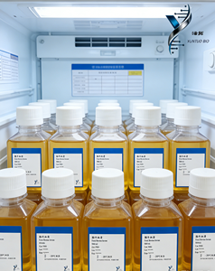 Medio de Cultivo Sin Suero YUNTUO BIO YM003 para Células Endoteliales Humanas (hHUVECs) en Cultivo In <span class=keywords><strong>Vitro</strong></span>, Plástico, 1 Año de Vida Útil - Product Image 3