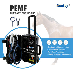 Appareil de thérapie magnétique PEMF portable à double commande pour humains et chevaux, soulage les douleurs musculaires, certifié CE, support ODM - Product Image 1