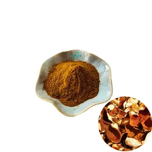 Dried Orange Peel Extract 10:1 Tangerine Peel Extract Powder