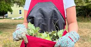 Muestra Gratuita de Delantales de Lona para Jardín, Bolsas de Almacenamiento de Frutas, Bolsas de Cosecha con Bolsillos, Delantal para Recolectar - Product Image 3